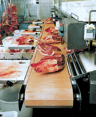 Meat Conveyor